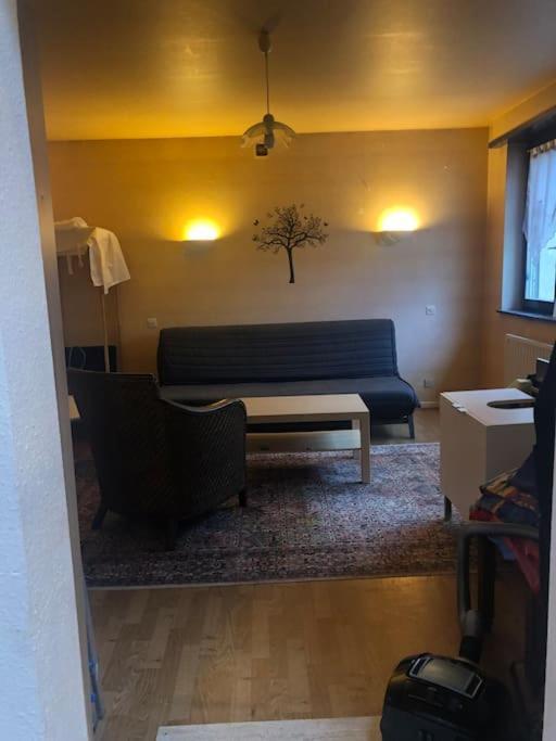 Maison De Village Pres De Colmar De 90 M2 Horbourg Εξωτερικό φωτογραφία